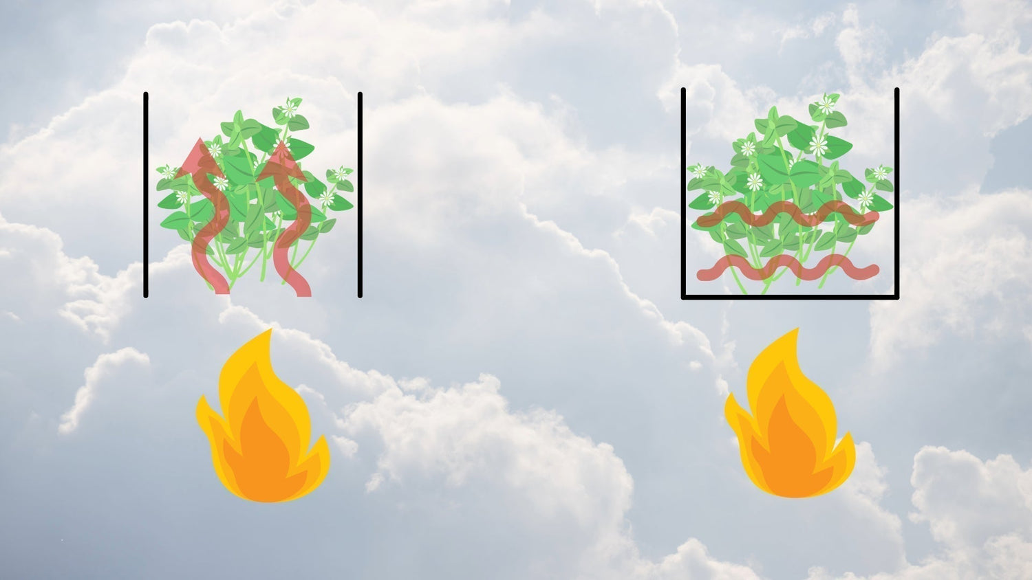 Konduktions- vs. Konvektionsvaporizer