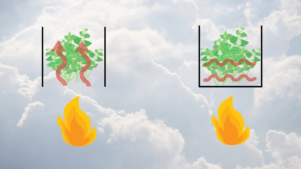 Konduktion vs Konvektion Vaporizer