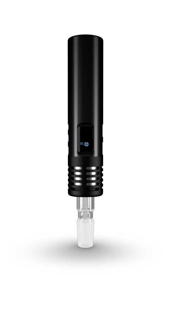 Air Max Vaporizer + 2 Gratis Füllkissen