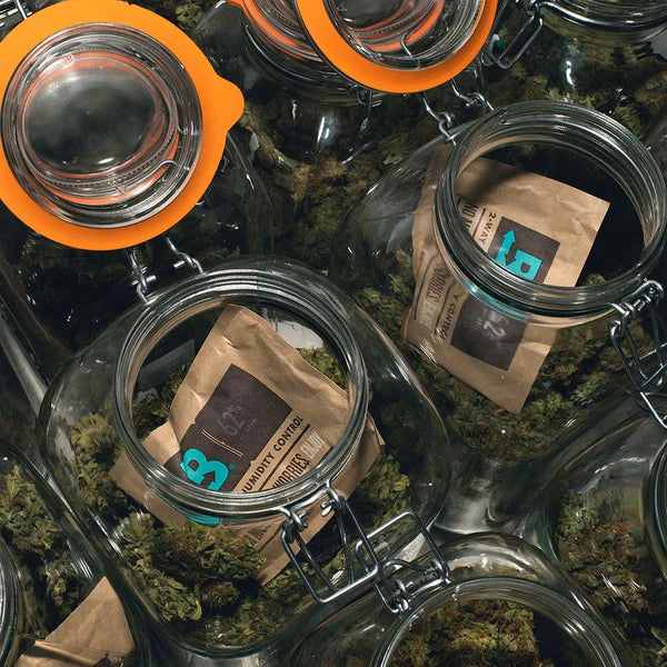 Boveda Humidpack zur Luftfeuchtigkeitskontrolle für Kräuter