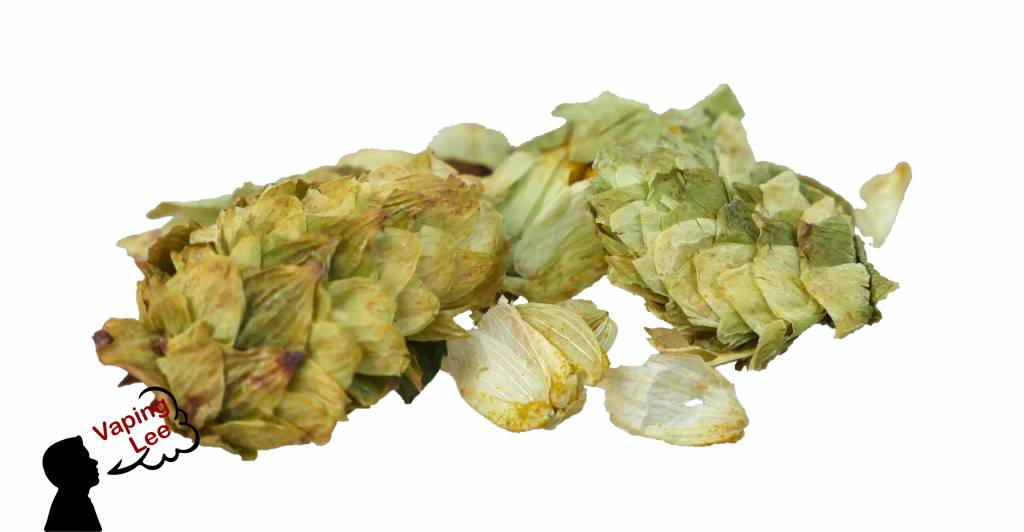 Hopfen