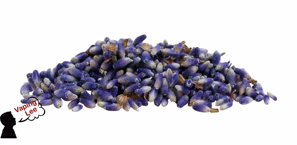 Lavendel